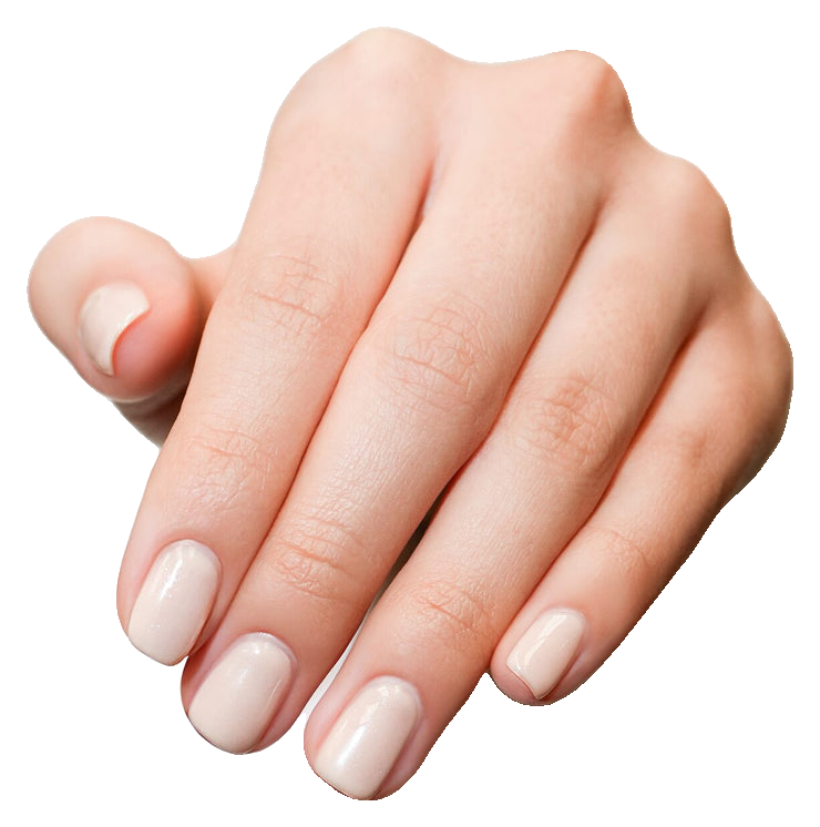 Gelish Brush-On Builder Beige Nude, 0.5 fl. oz. (5)