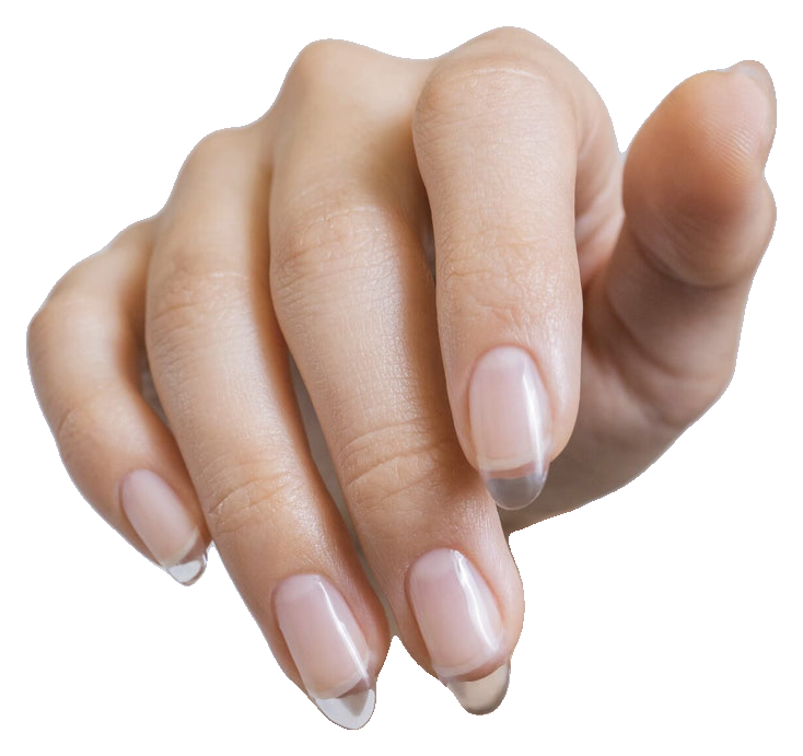 Gelish Brush-On Builder Clear, 0.5 fl. oz. (4)
