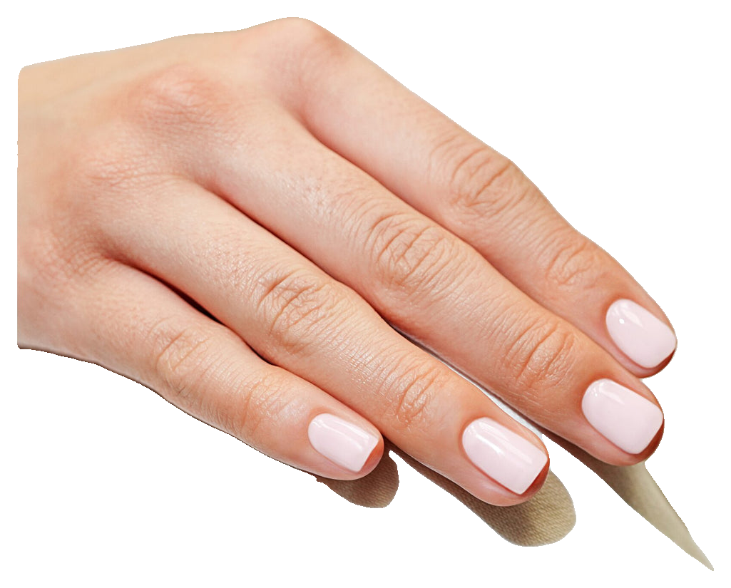 Gelish Brush-On Builder Light Pink Nude, 0.5 fl. oz. (4)