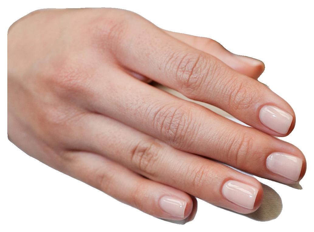 Gelish Brush-On Builder Pink Sand Nude, 0.5 fl. oz. (4)
